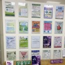 밸리댄스 야간 이미지