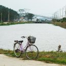 월포천 한국일보