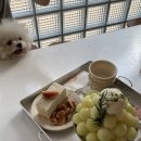 (주)근본 이미지