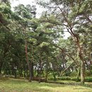 동호마을 이미지