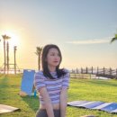 911 매일의원 이미지