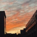 고재용 | 봄날은 온다!!!