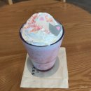 블라썸컴퍼니 | 스타벅스 봄 신메뉴 2026, 체리블라썸 백도 크림 프라푸치노 / 칼로리, 가격, 사이즈 등 총 정리