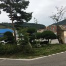 내면중학교 이미지