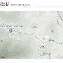 곡성-052 Daum카페