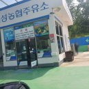 고성농협주유소 이미지