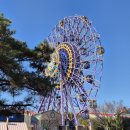 재미있는 한국사 놀이여행 | [공지] 무서운 놀이기구 좋아하는 아이와 경주여행｜경주월드 드라켄 &amp; 하이원 알파인코스터 후기