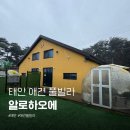 태안 알로하오에 애견풀빌라 | 태안 숙소 알로하오에 애견동반 풀빌라 방문 후기