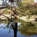 인함이천 이미지