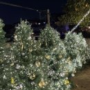 한솔이네 한옥 | 11월