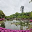 왕송호수공원 레일바이크 매표소 이미지