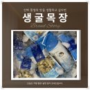 무진목장 | 생굴목장 통영굴맛집 오늘도 가장 좋은 굴만 담아 보내드립니다