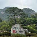 영암하나로마트 | 월출산 영암 기찬랜드 2026 개장 / 평상 대여 일요일 오픈런 후기