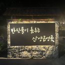 반딧불문구 | 산양큰엉곶 반딧불 후기 산양큰엉곶 반딧불이 축제 산양큰엉곶 반딧불이 예약