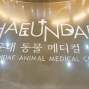 우리아이동물메디컬센터 이미지