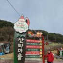 낙동강세평하늘길 이미지