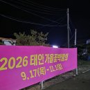 뚱이애견 | [애견동반 태안 빛 축제] 나의 귀여운 쪼꼬미 뚱이와...만족한 태안 네이처월드 빛 축제 내돈내산 후기✨