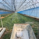 무릉도원면-23 이미지