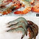 대하 이미지