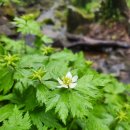 모데미풀 화장실 이미지