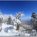 신월동167 이미지