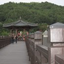 한국에서 제일 긴 나무다리 월영교에 분수나와. 이미지