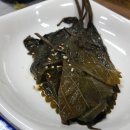 금빛선어