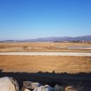 태양공인중개사 이미지