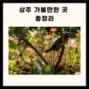 상주 가볼만한곳 경북 상주 가볼만한곳 상주 가볼만한곳 베스트10 이미지