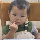 서암로 84번길 네이버블로그