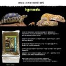 구로-구로-구로-1225 네이버블로그