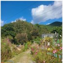 밀양힐링펜션 이미지