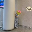 725 | 아시아나항공 이코노미 클래스 인천-푸켓 [ICN-HKT] / [OZ725] 탑승 후기