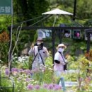 엘리의 정원 이미지