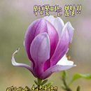 새로이 이미지