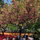 카페죽헌길 이미지