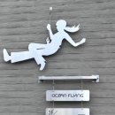 태종대 짚와이어 상부 이미지