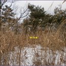 구미마을회관 이미지