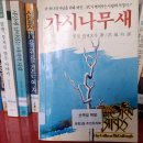 가시나무새#0708 이미지