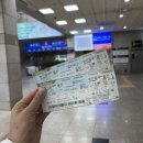 [국내여행|울산] 당일치기 울산나들이🐳(대왕암공원,태화강은하수길,대왕암출렁다리,태화강심리대숲)