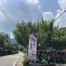 까치 노래방 이미지