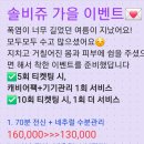솔비쥬