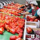 운봉농협 농산물산지유통센터 이미지