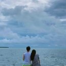 남부코스 이미지