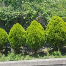 오성농원 이미지