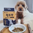 (주)유한양행 | 강아지 노령견영양제 유한양행 윌로펫 시니어 급여 후기