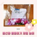 자연의 색 물들이기 | 아이와 함께하는 봉숭아 물들이기 체험, 집에서 즐기는 추억 놀이