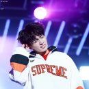 슈프림퍼피 이미지