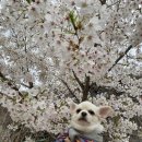 종가대박집 중화점 이미지