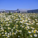 초원태양광 이미지